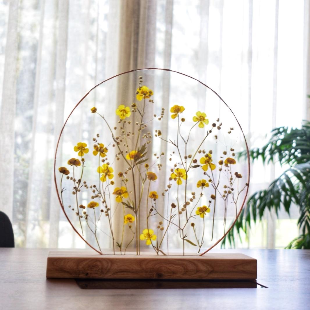 PICIORUL COCOȘULUI ROTUND