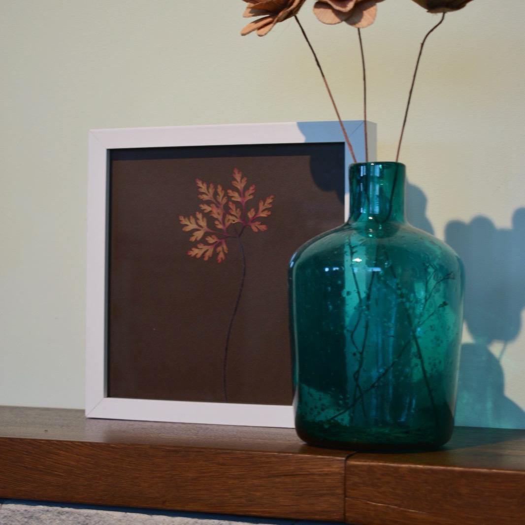 Iarba-Sângelui de toamnă (Geranium robertianum)