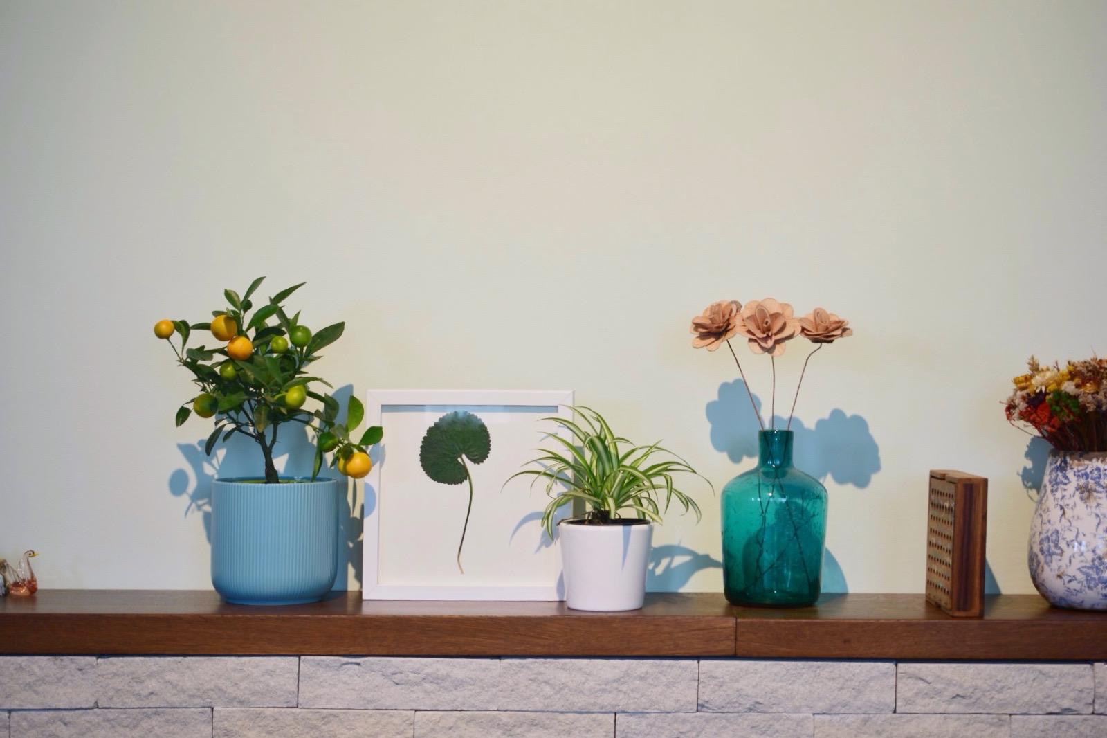 Frunză de pădure presată