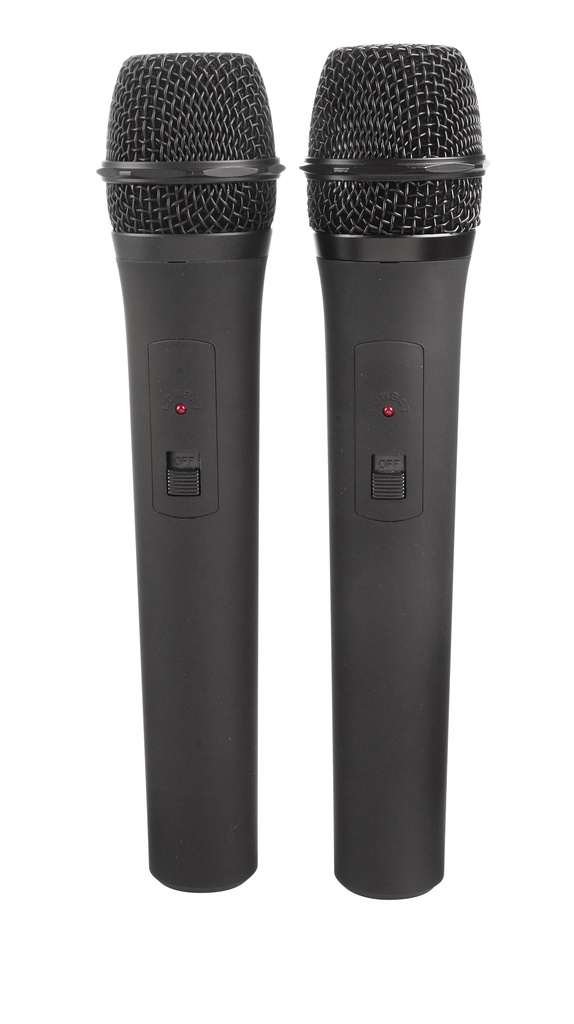 Micros sans fil Proel WM202DM