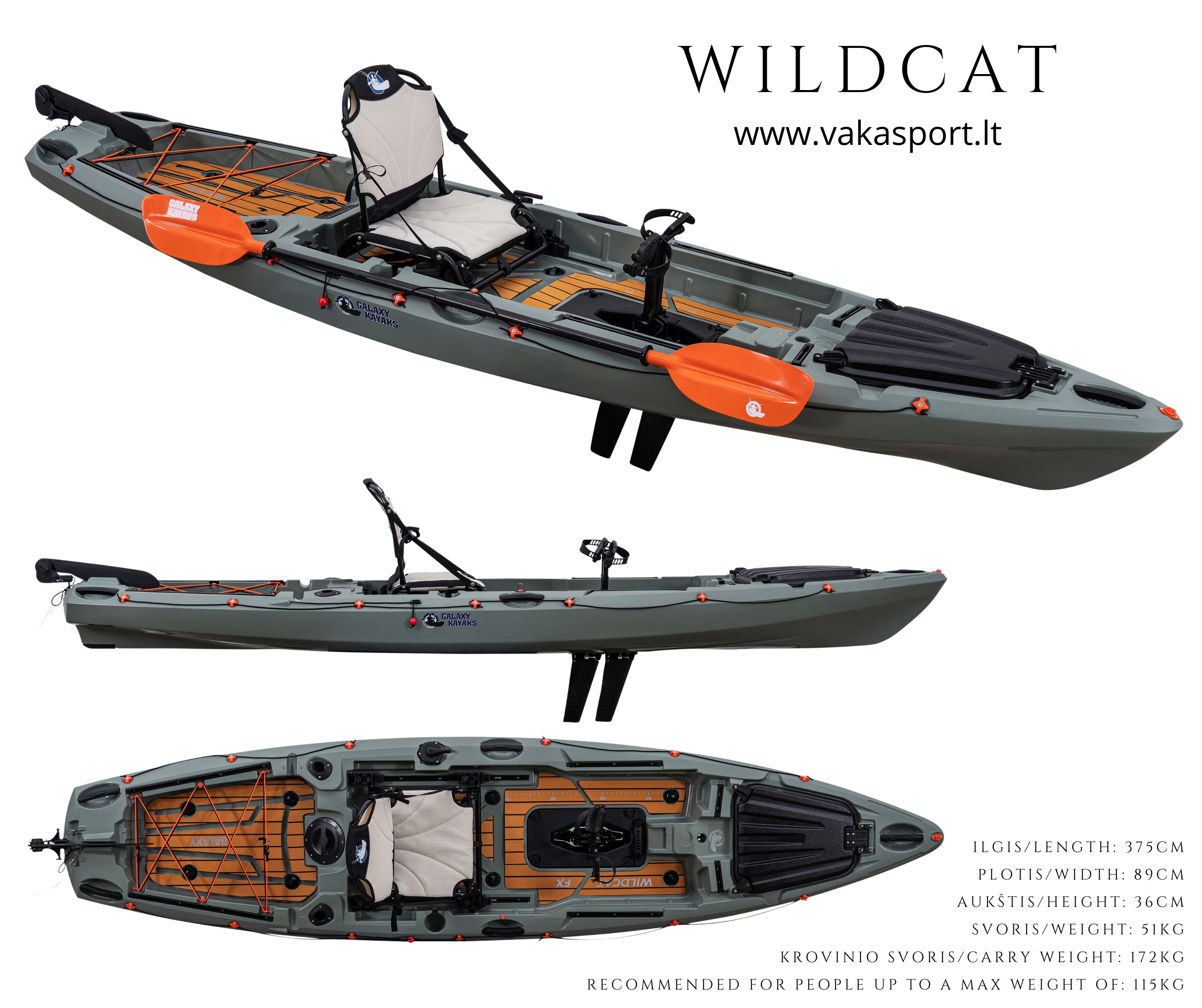 Wildcat
