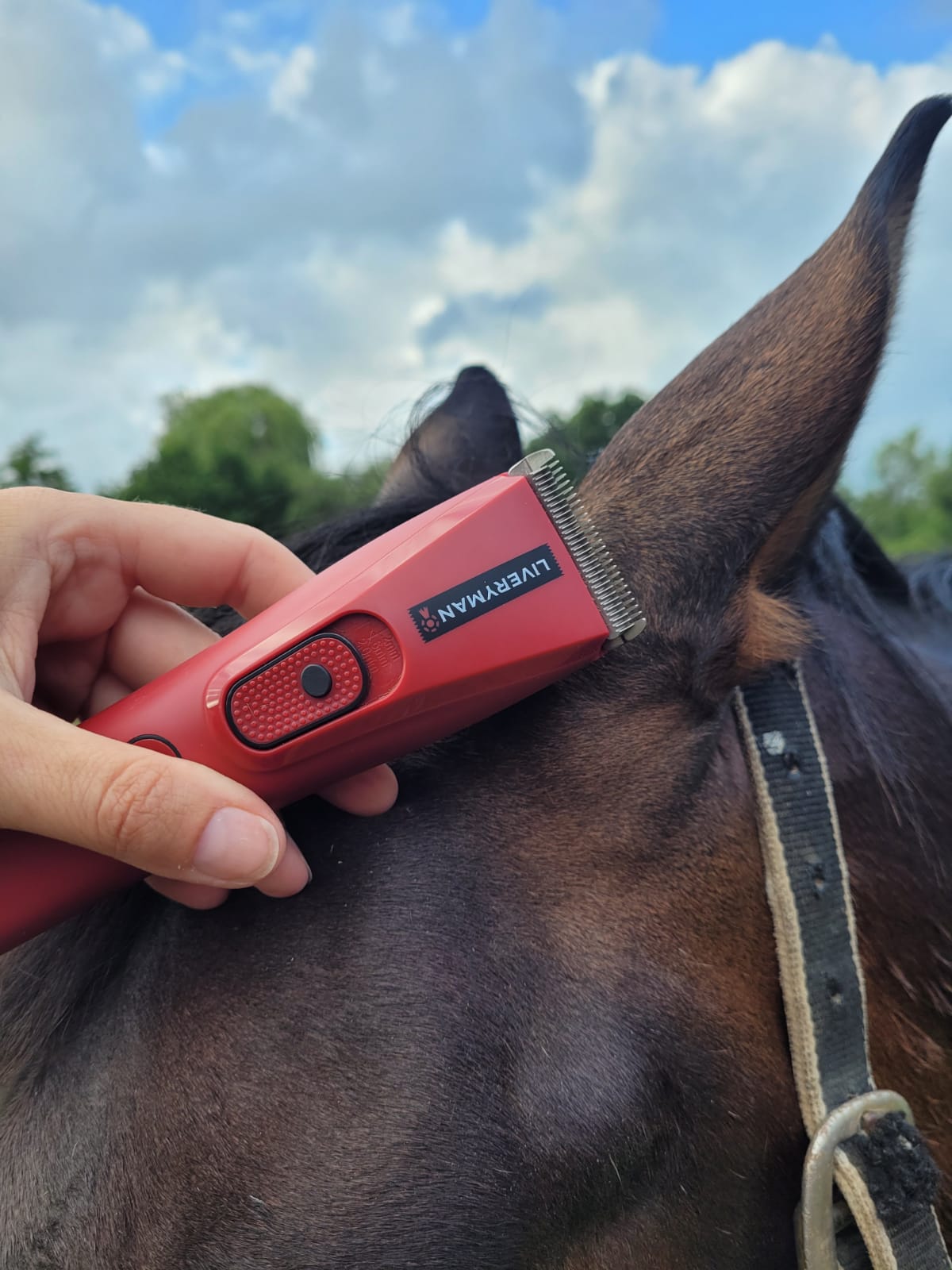 Liveryman Nova Trimmer