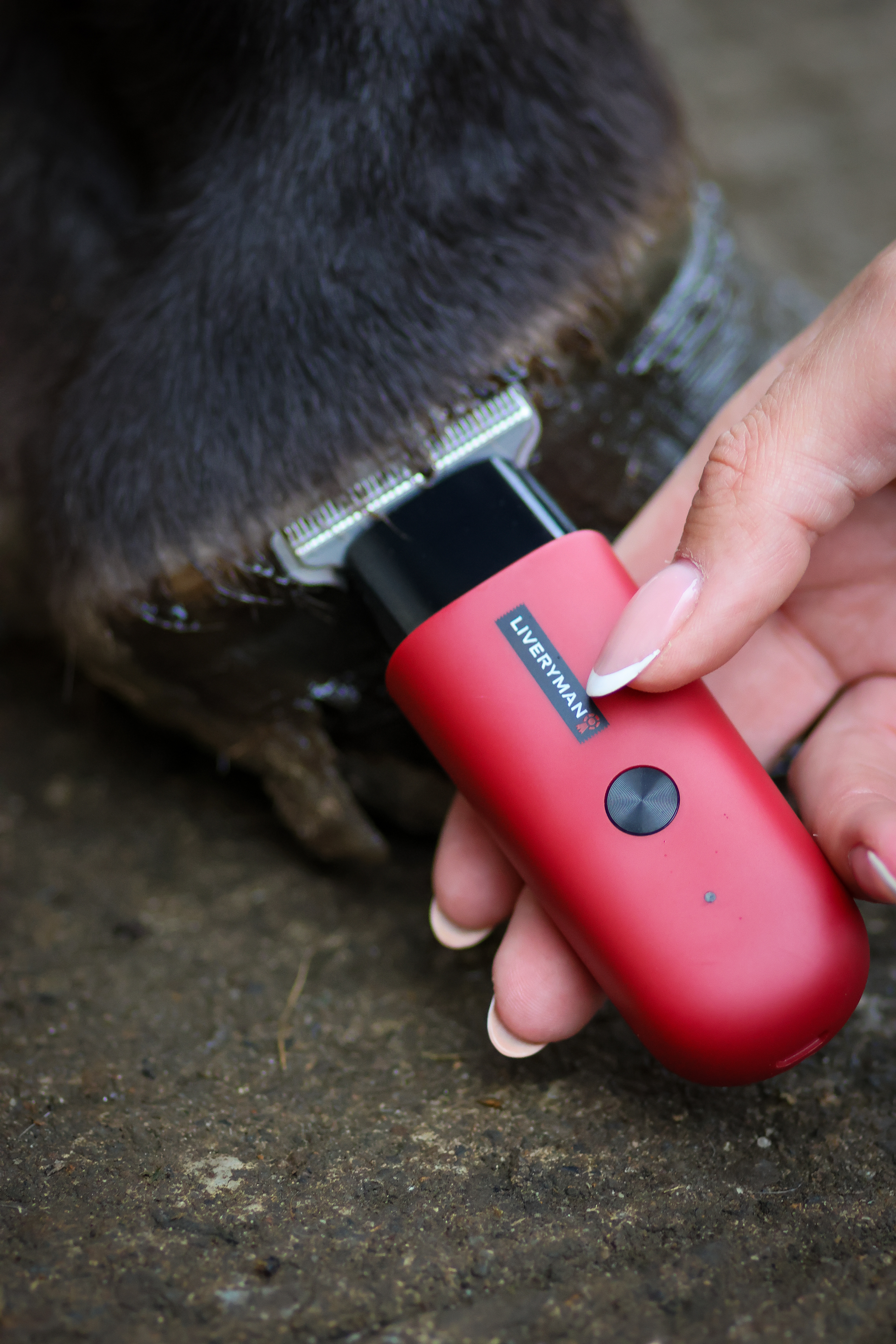 Liveryman Robin Trimmer