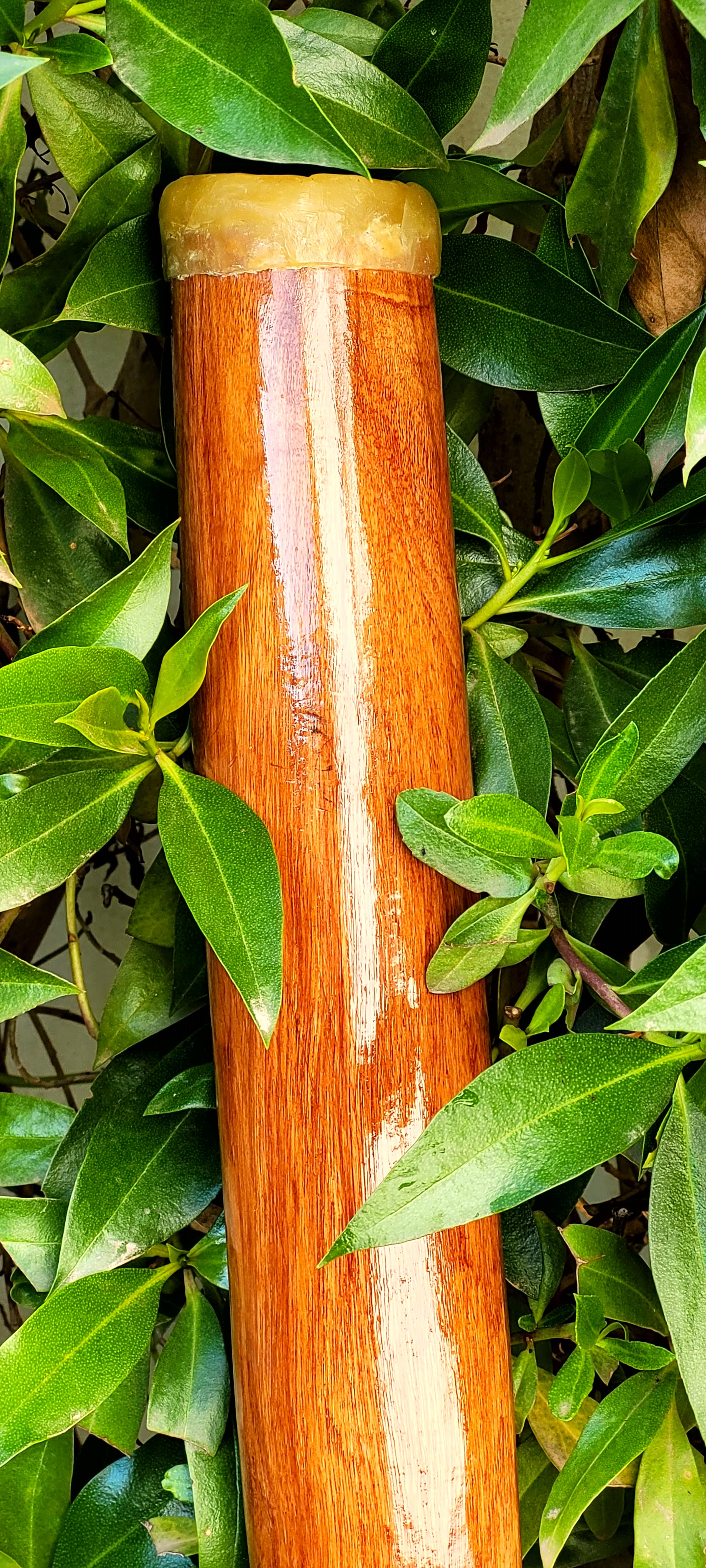 Didgeridoo "E'