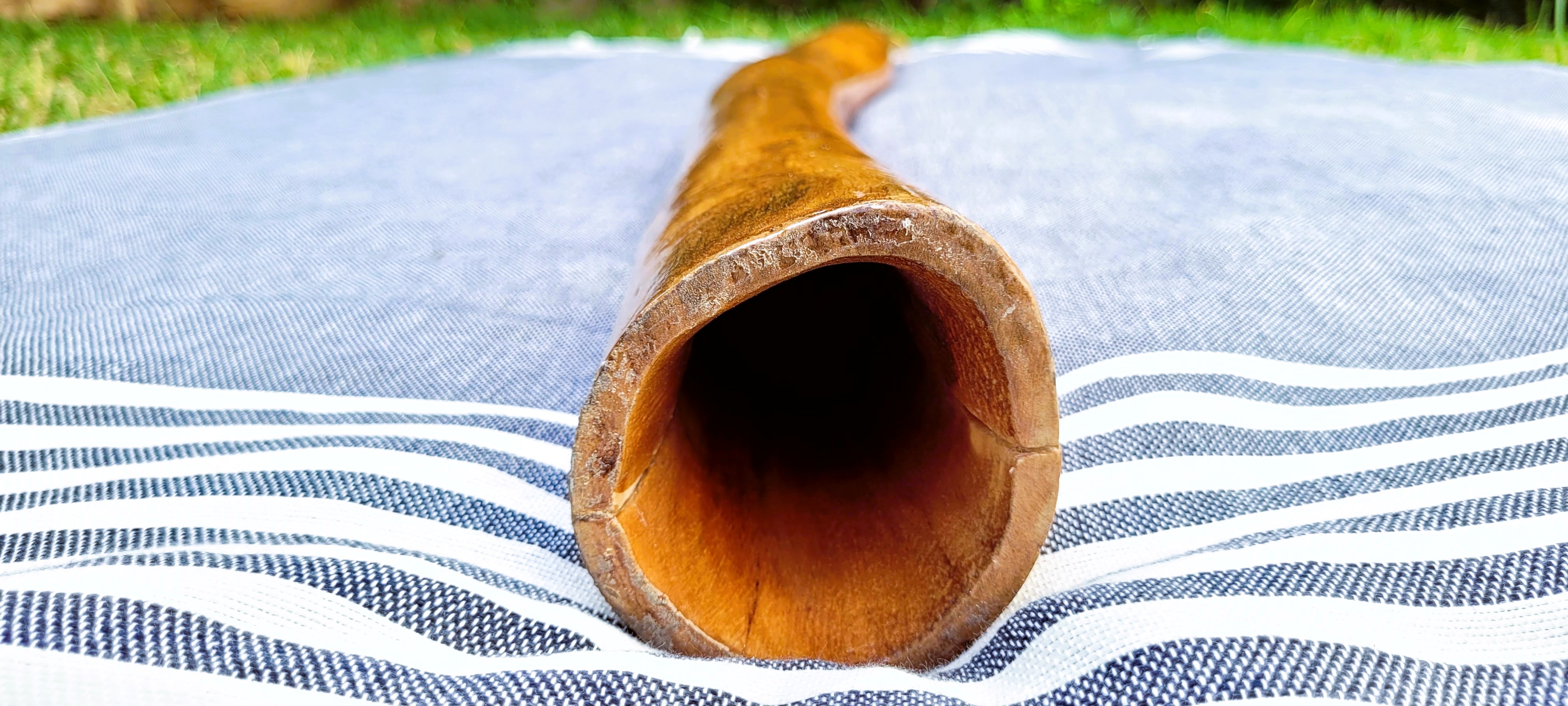 Didgeridoo D#