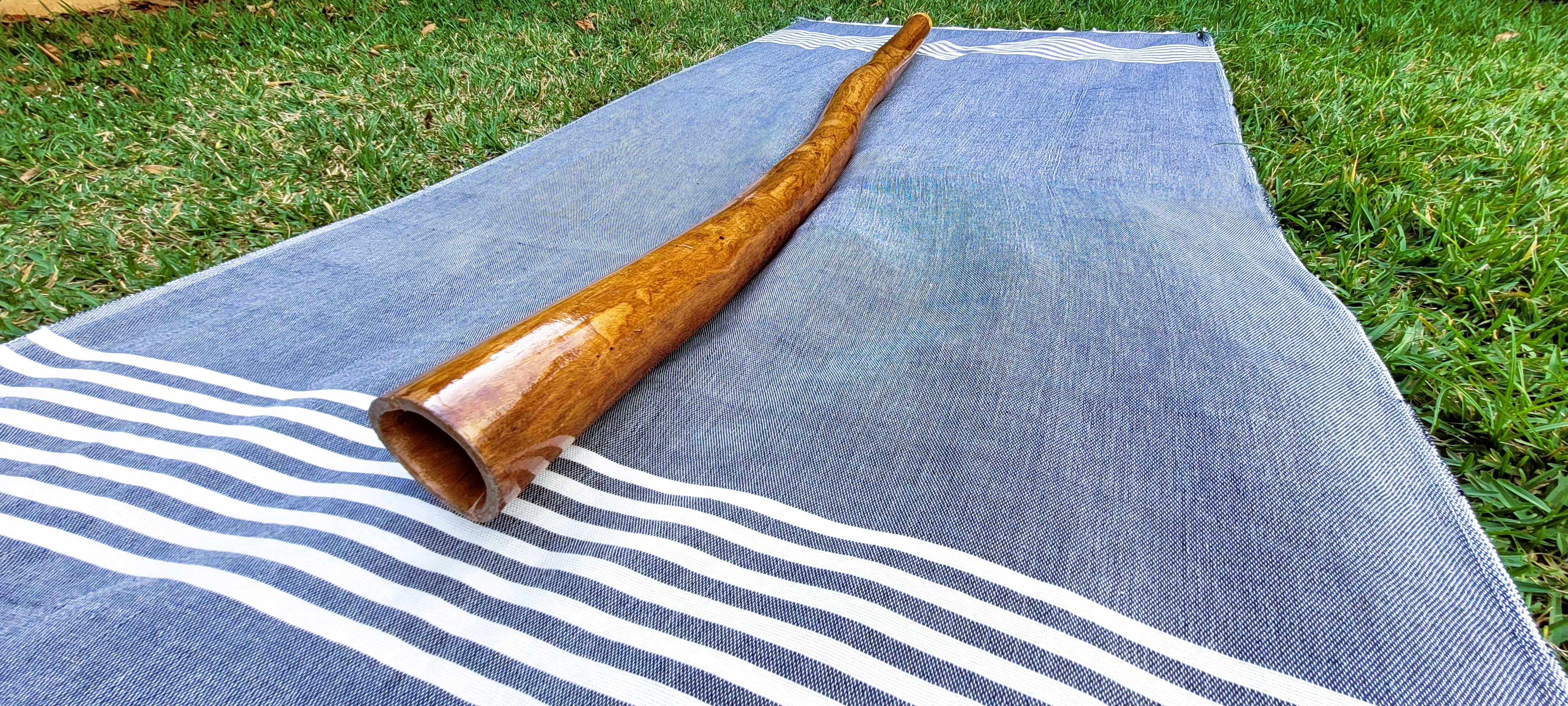 Didgeridoo D#