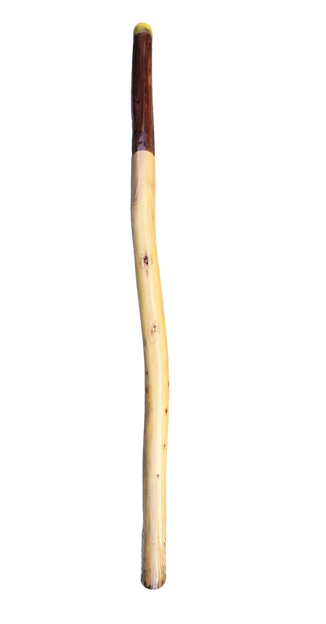 Didgeridoo "C"