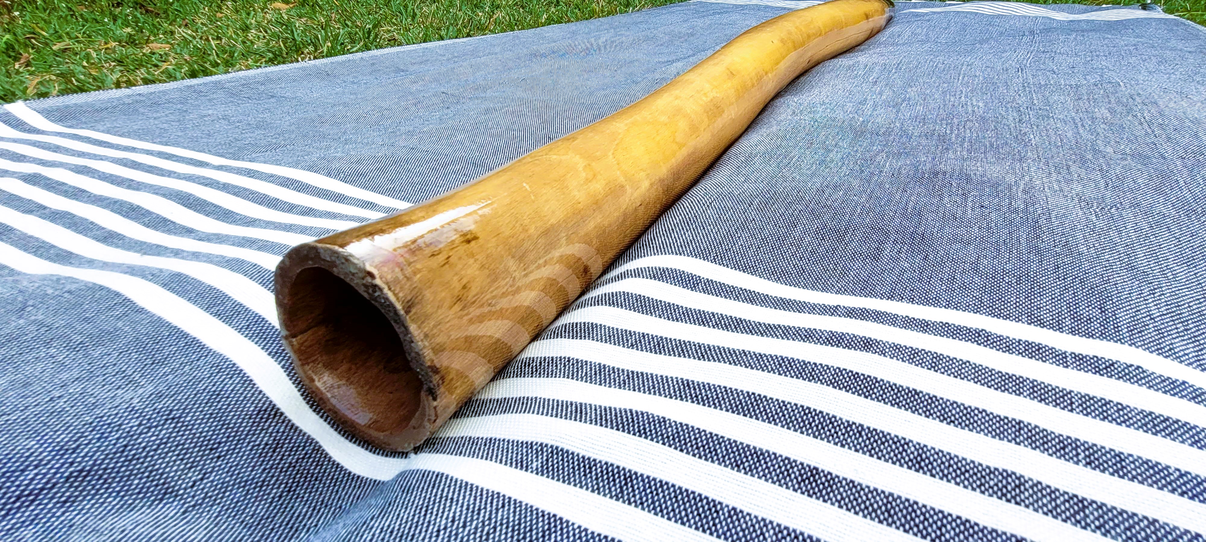 Didgeridoo "C"