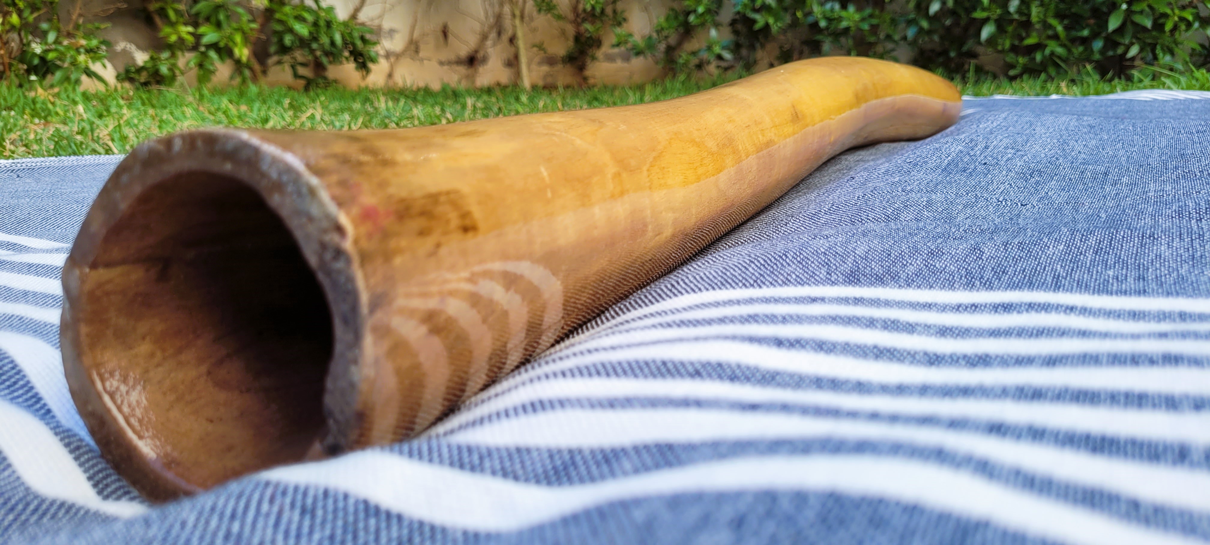 Didgeridoo "C"