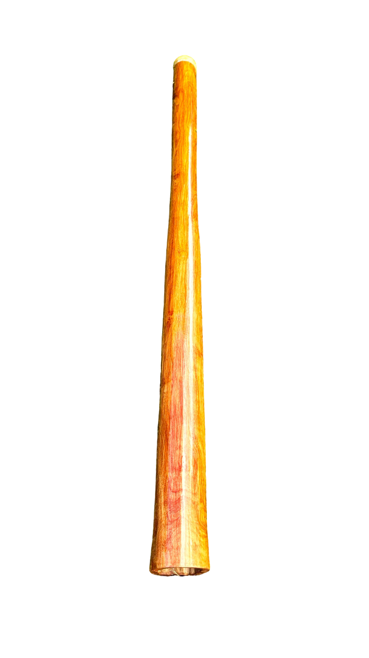 Didgeridoo "E'