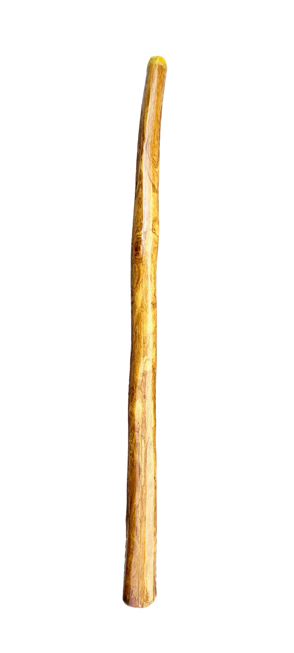 Didgeridoo D#