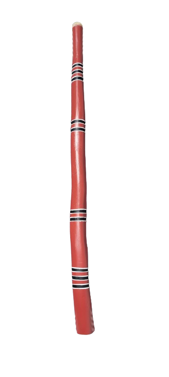 Didgeridoo D-D#