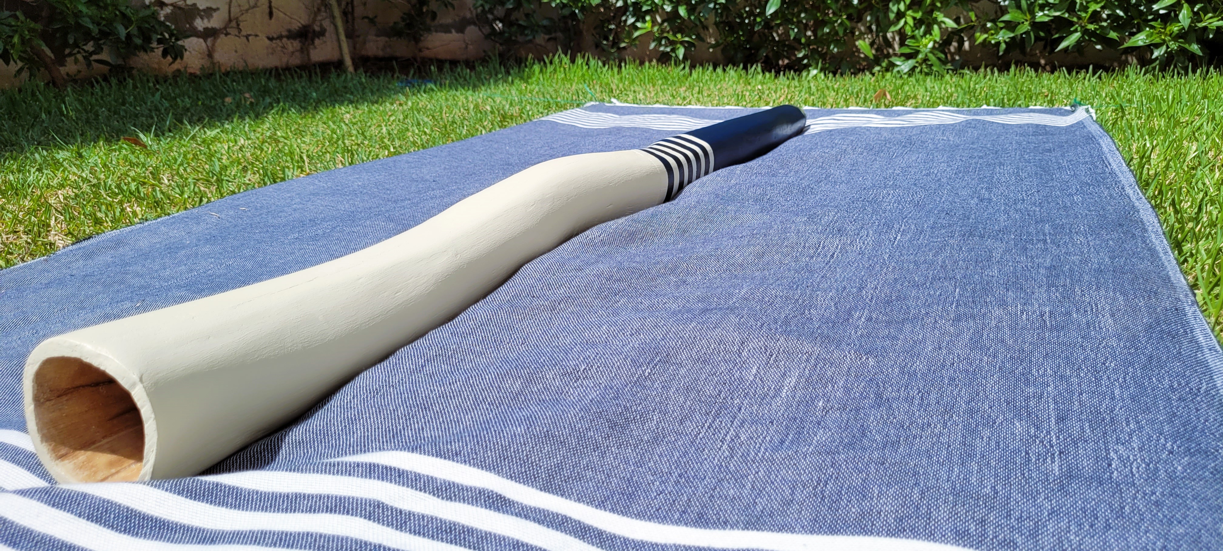 Didgeridoo D#