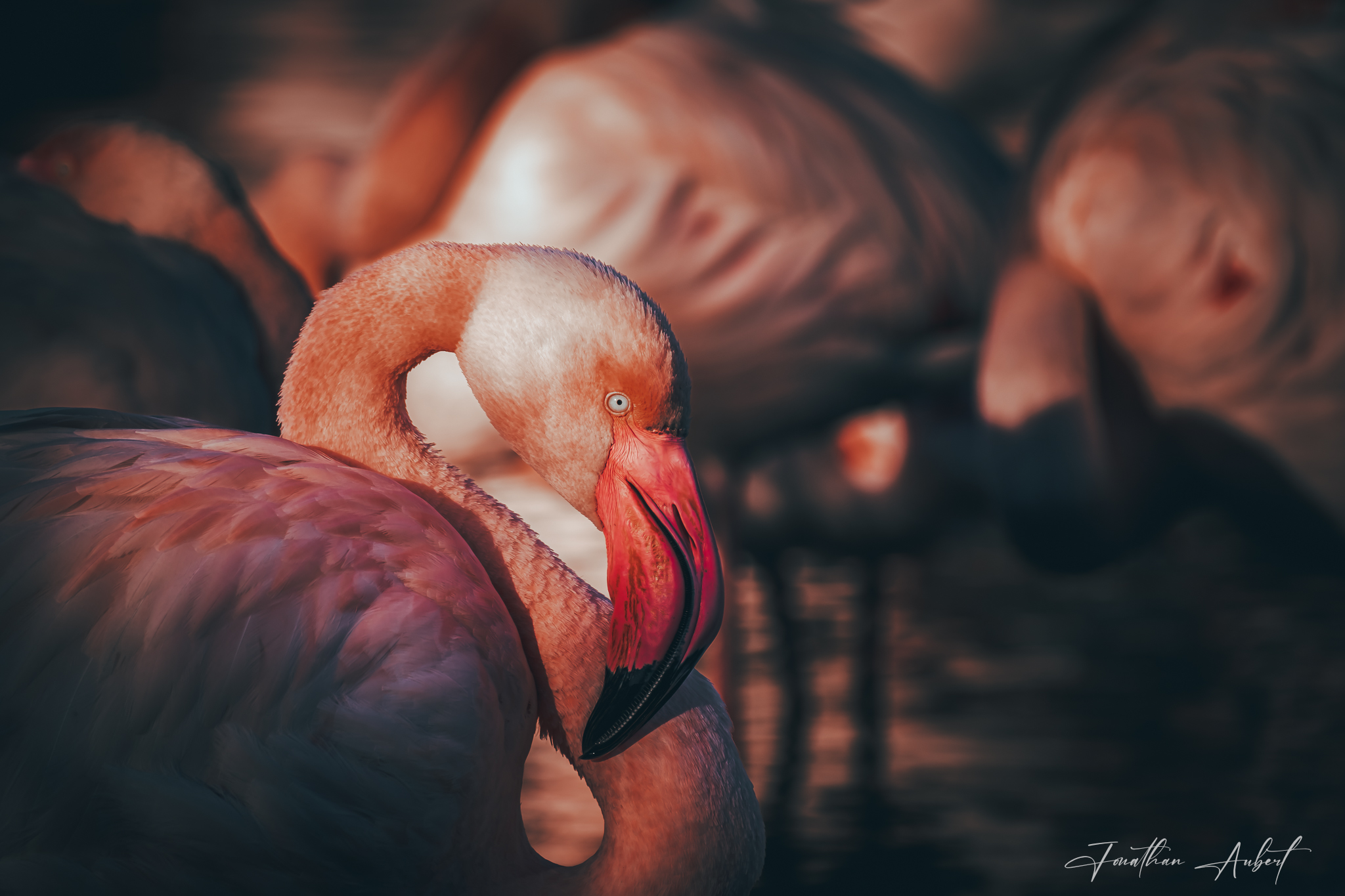 Regard en Couleur