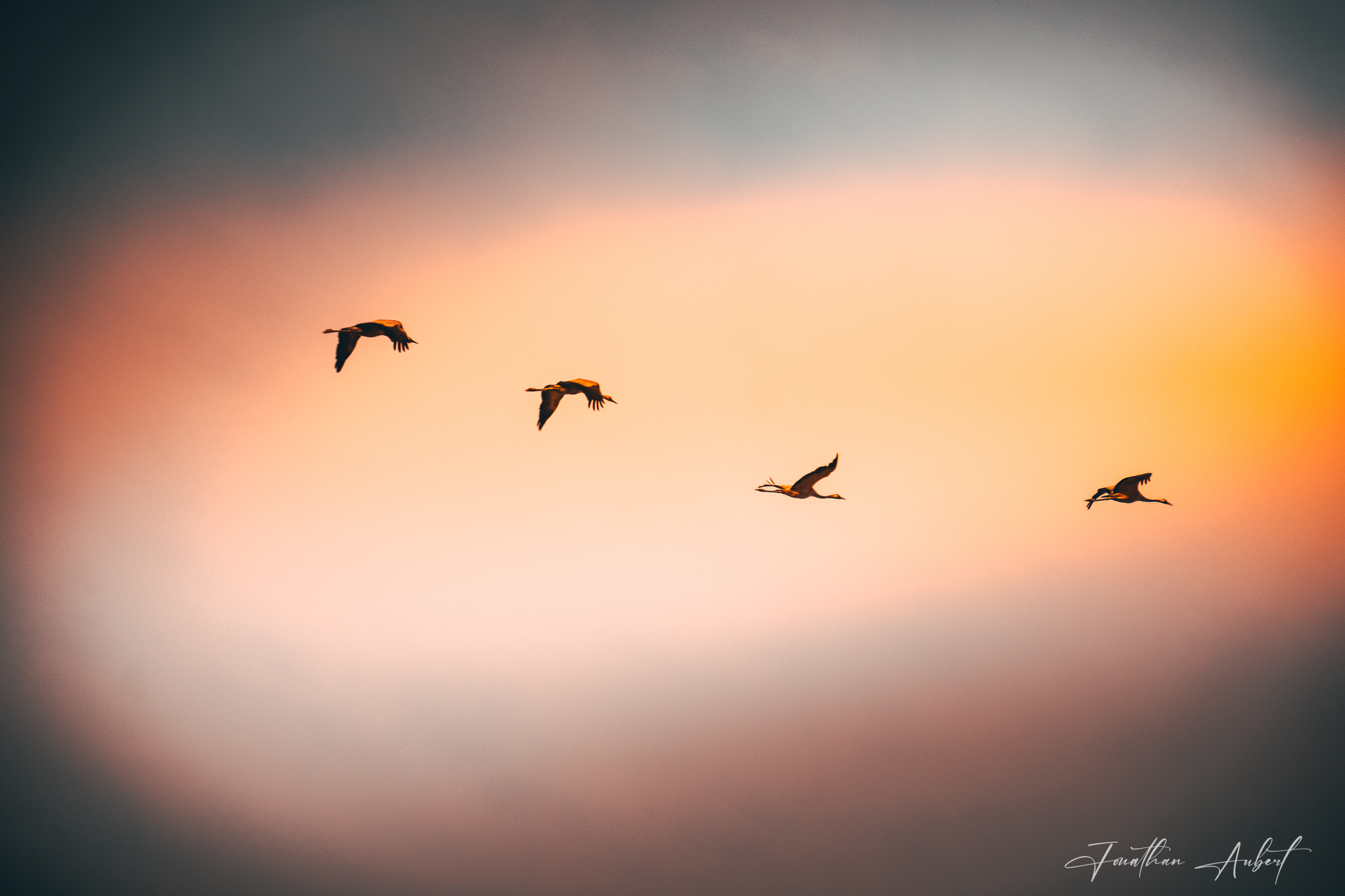 Coucher de Soleil en Escadrille