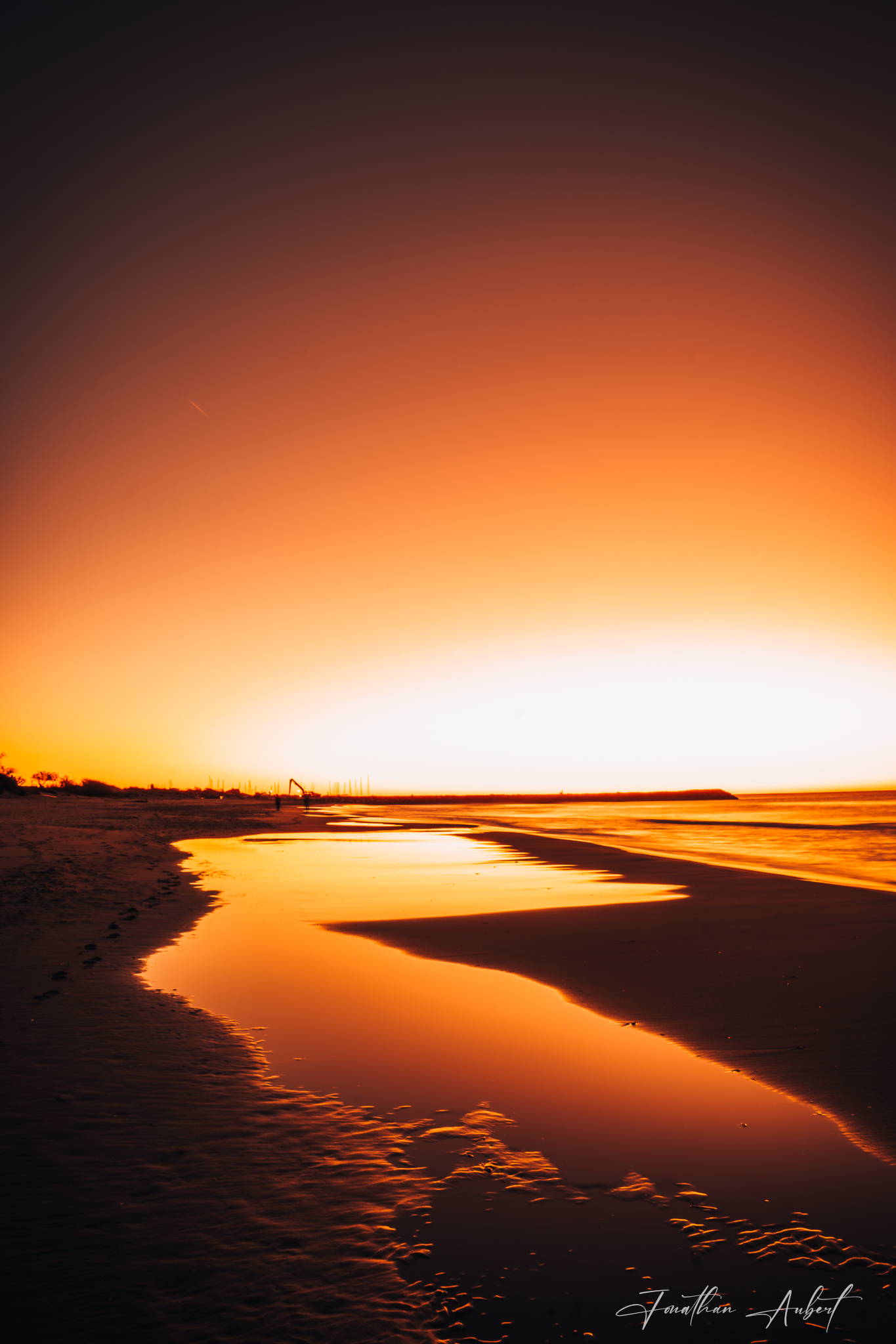 Reflets de Feu en Camargue