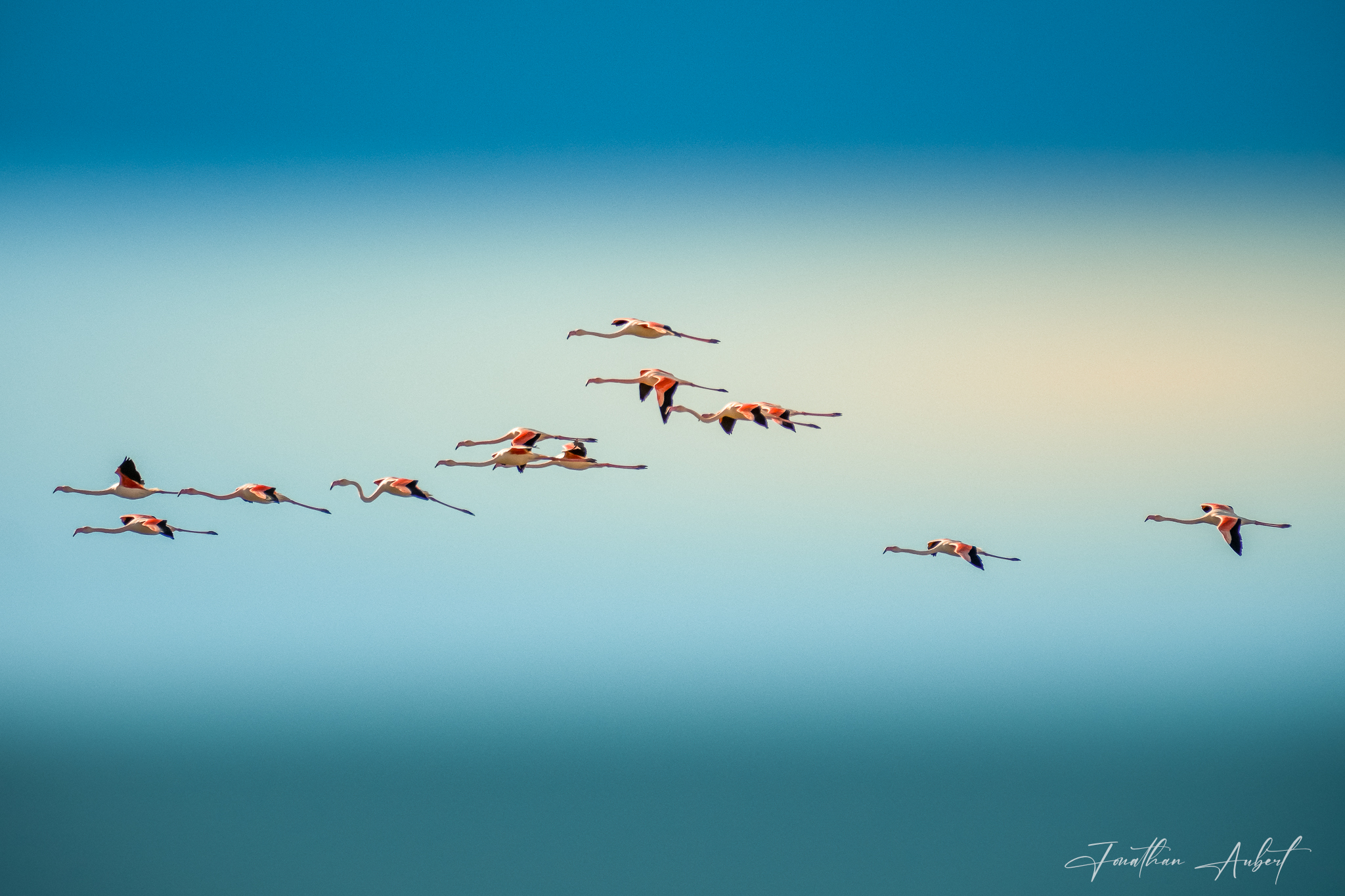Ballet Aérien