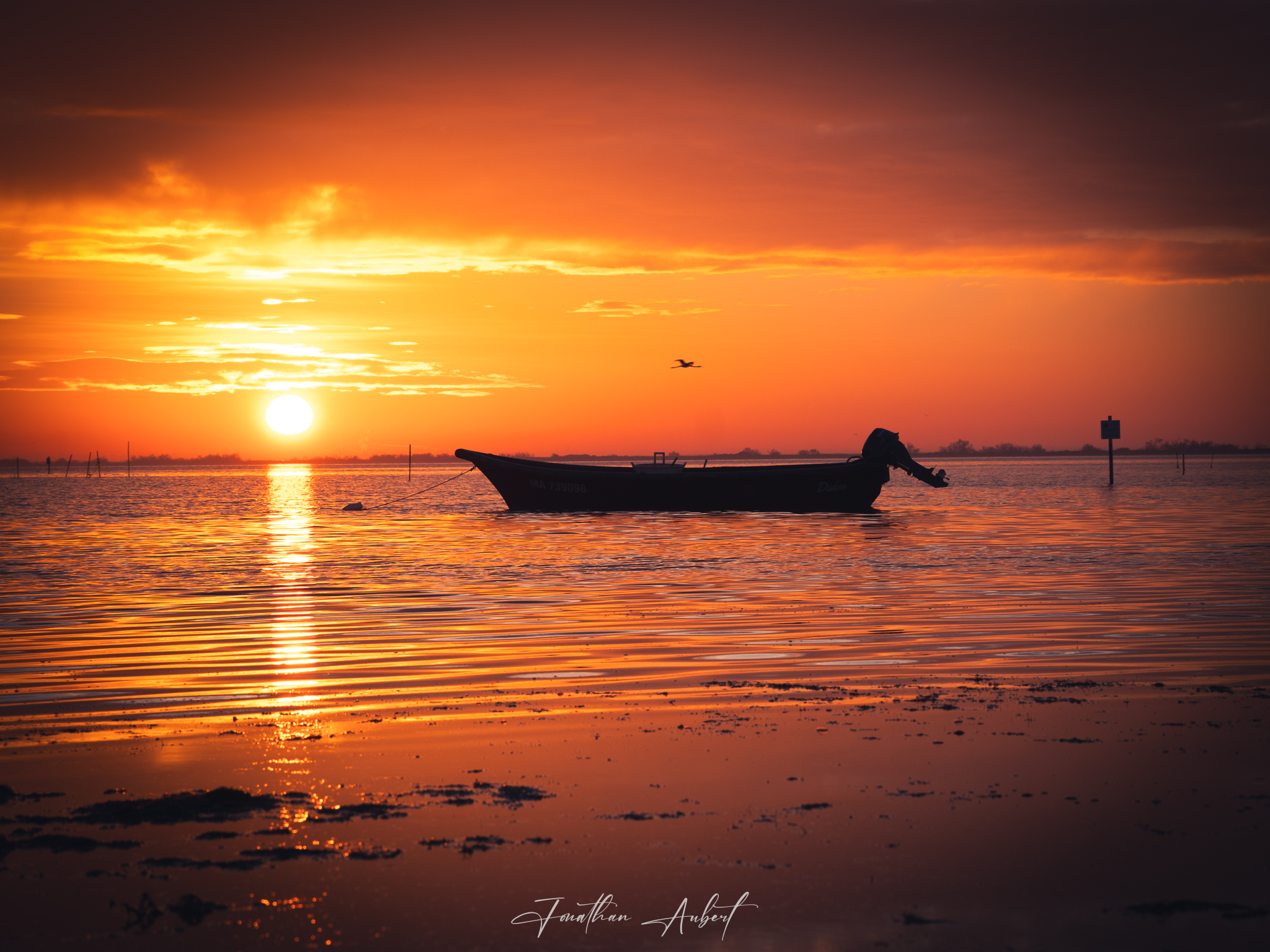 Harmonie Matinale en Camargue