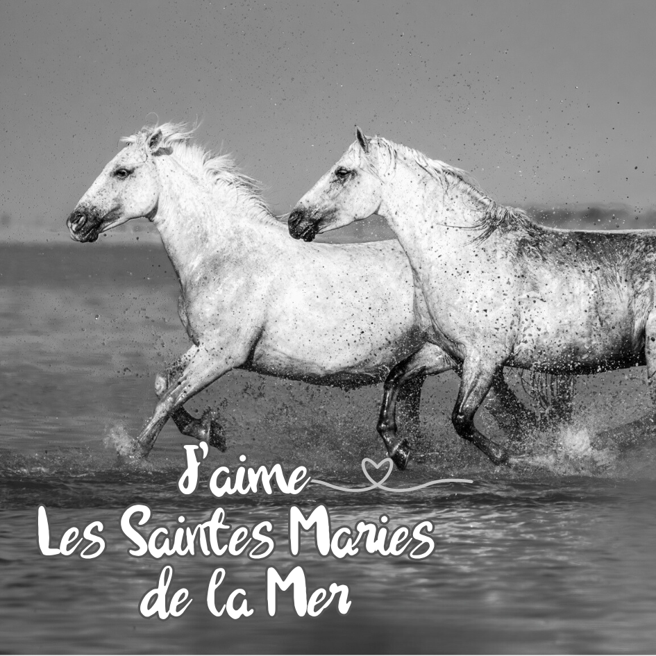 Magnet carré - Chevaux de Camargue galopant dans l'eau