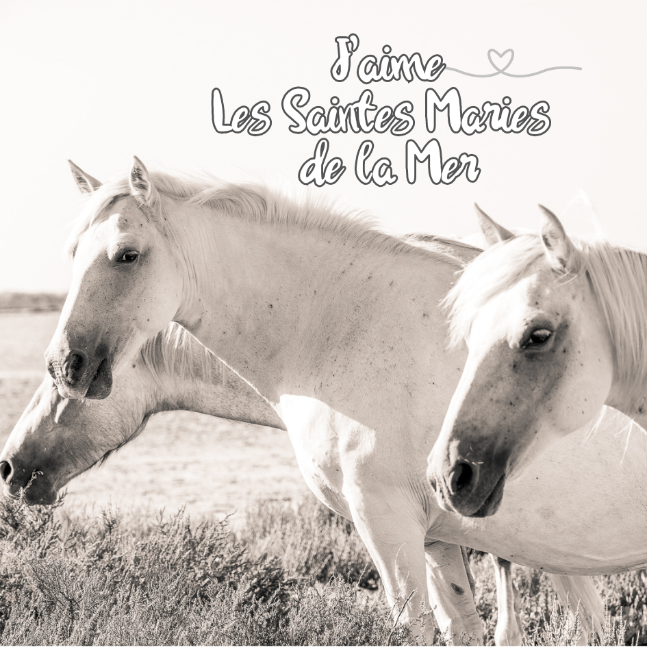 Magnet carré - Chevaux blancs de Camargue
