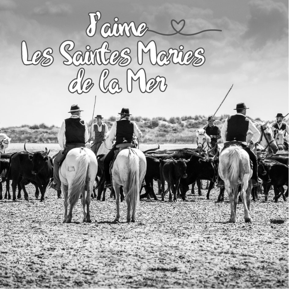 Magnet carré - Gardians en Camargue