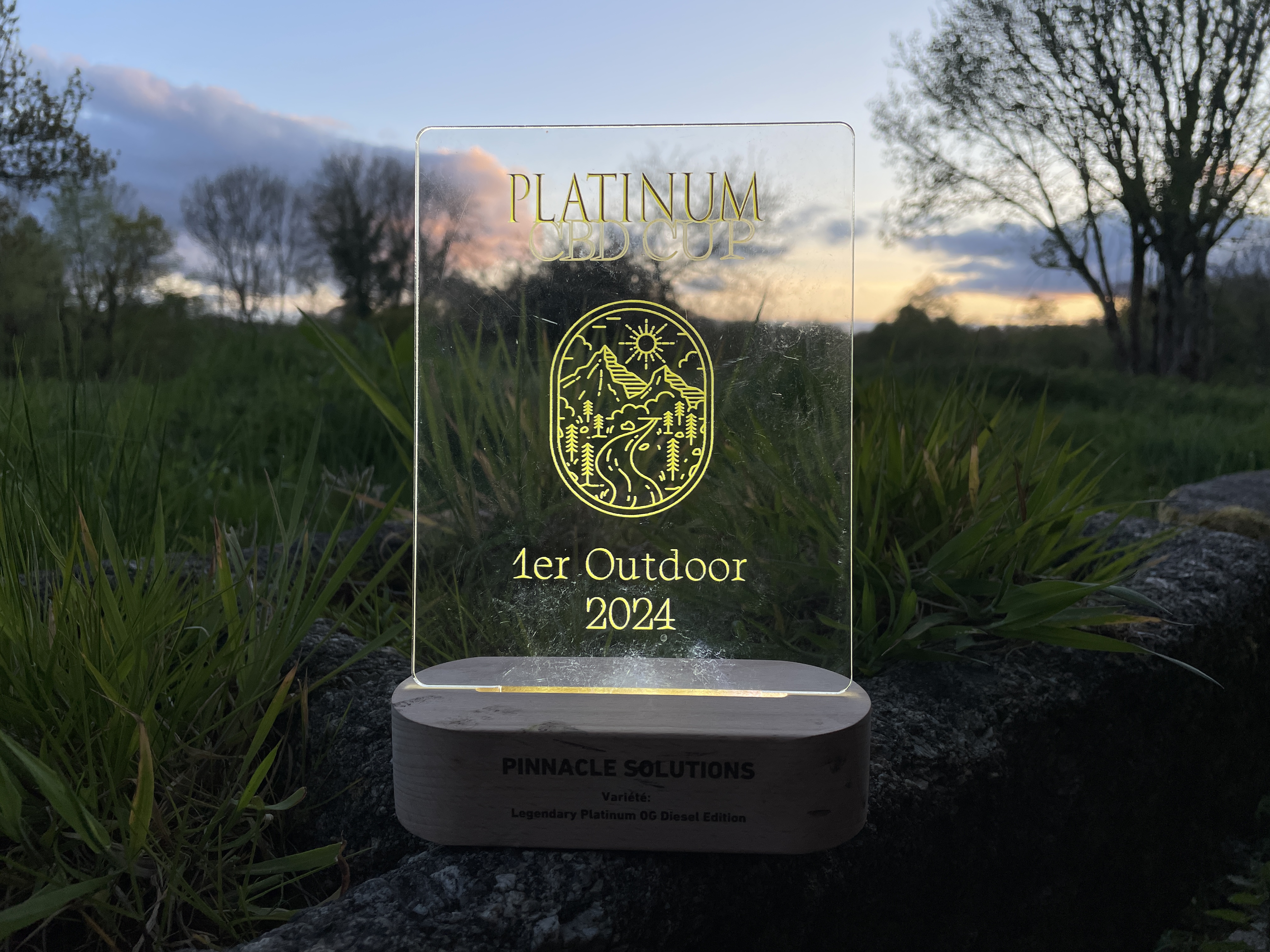 LEGENDARY PLATINUM OG - Extérieur