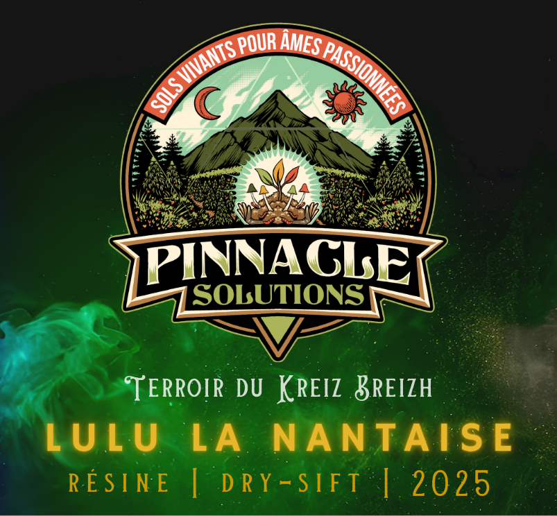 LULU LA NANTAISE - Résine Filtrée