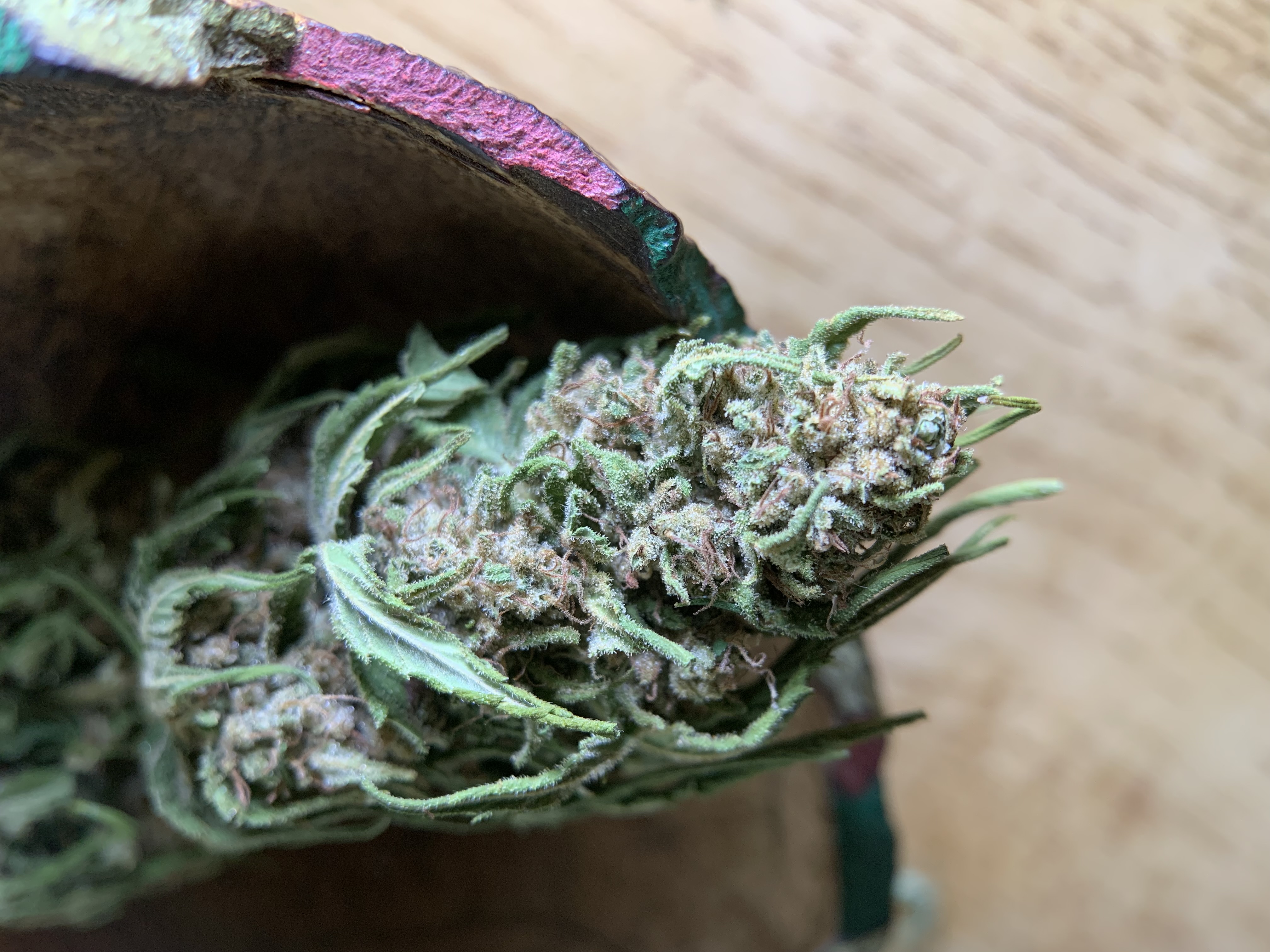 LULU LA NANTAISE - Serre Light-Dep