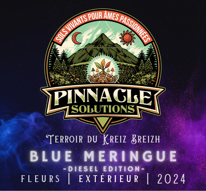 BLUE MERINGUE - Extérieur
