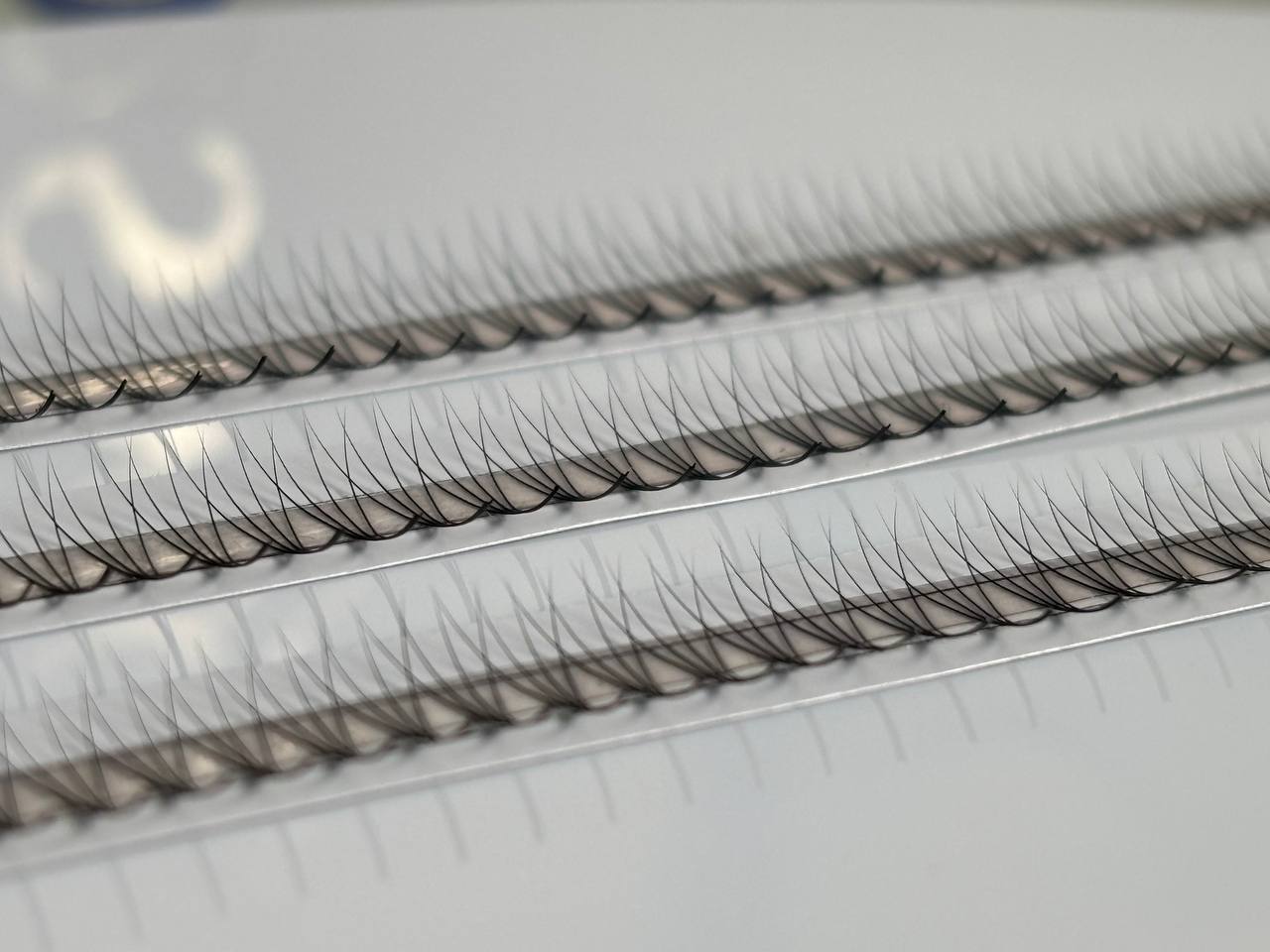 COSMO Lash kuokšteliai