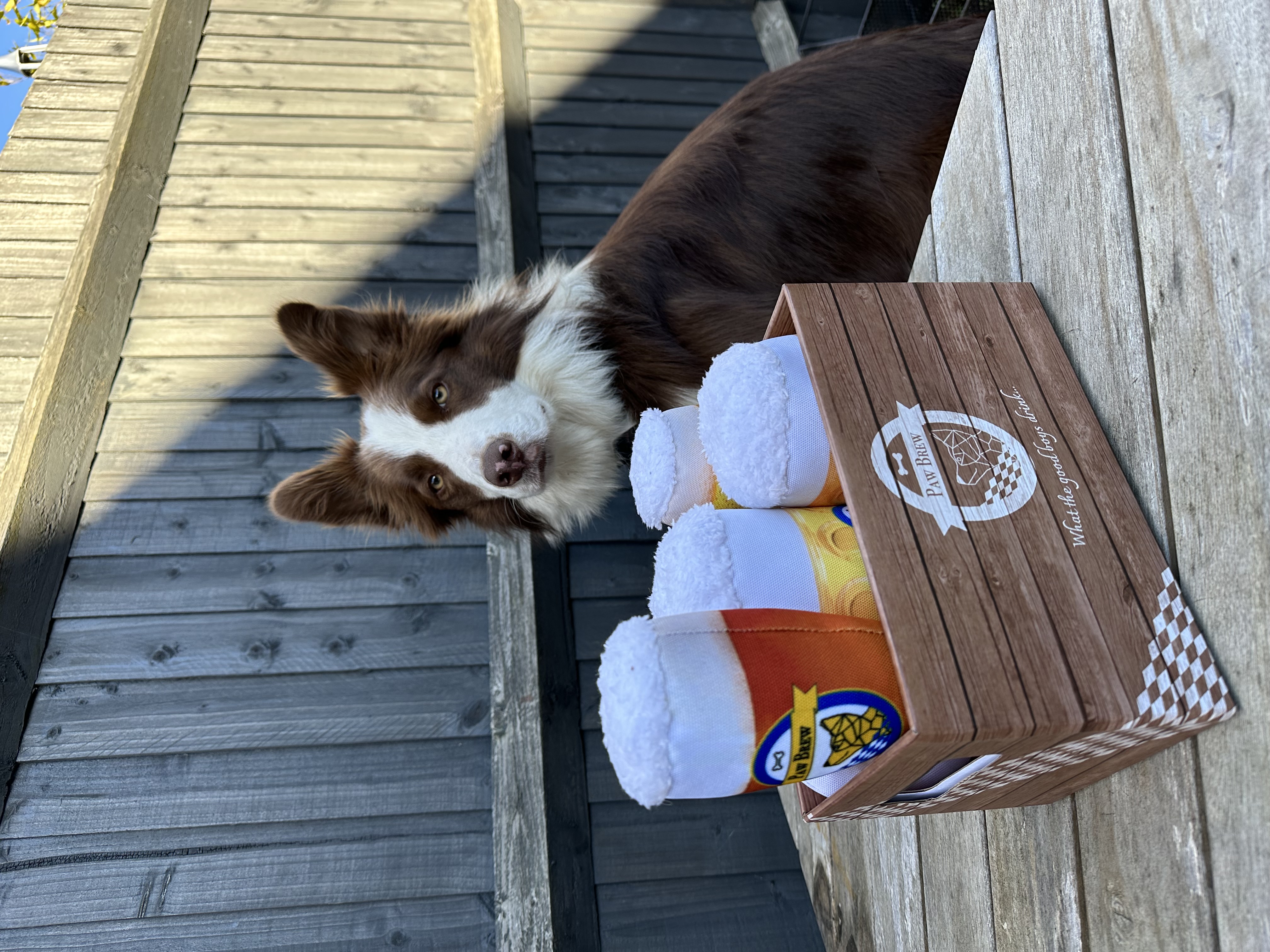 Kasten Bier  -  Crate of beer