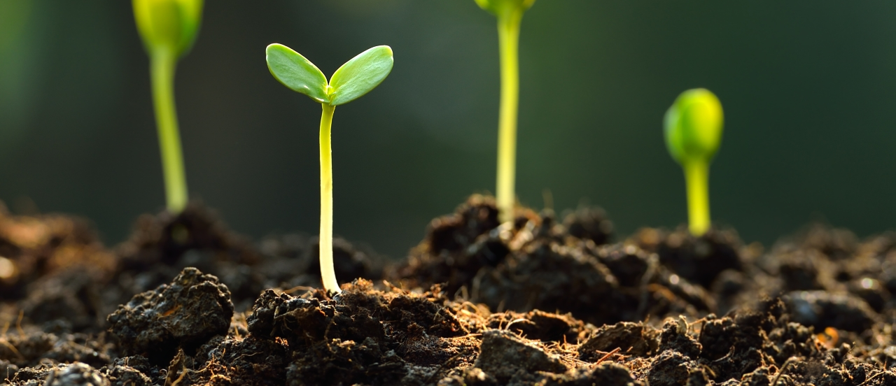 AGF - Ambiental - Licenciamento Ambiental