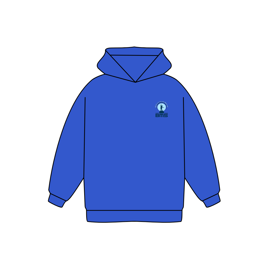 هودي ابتدائي bms