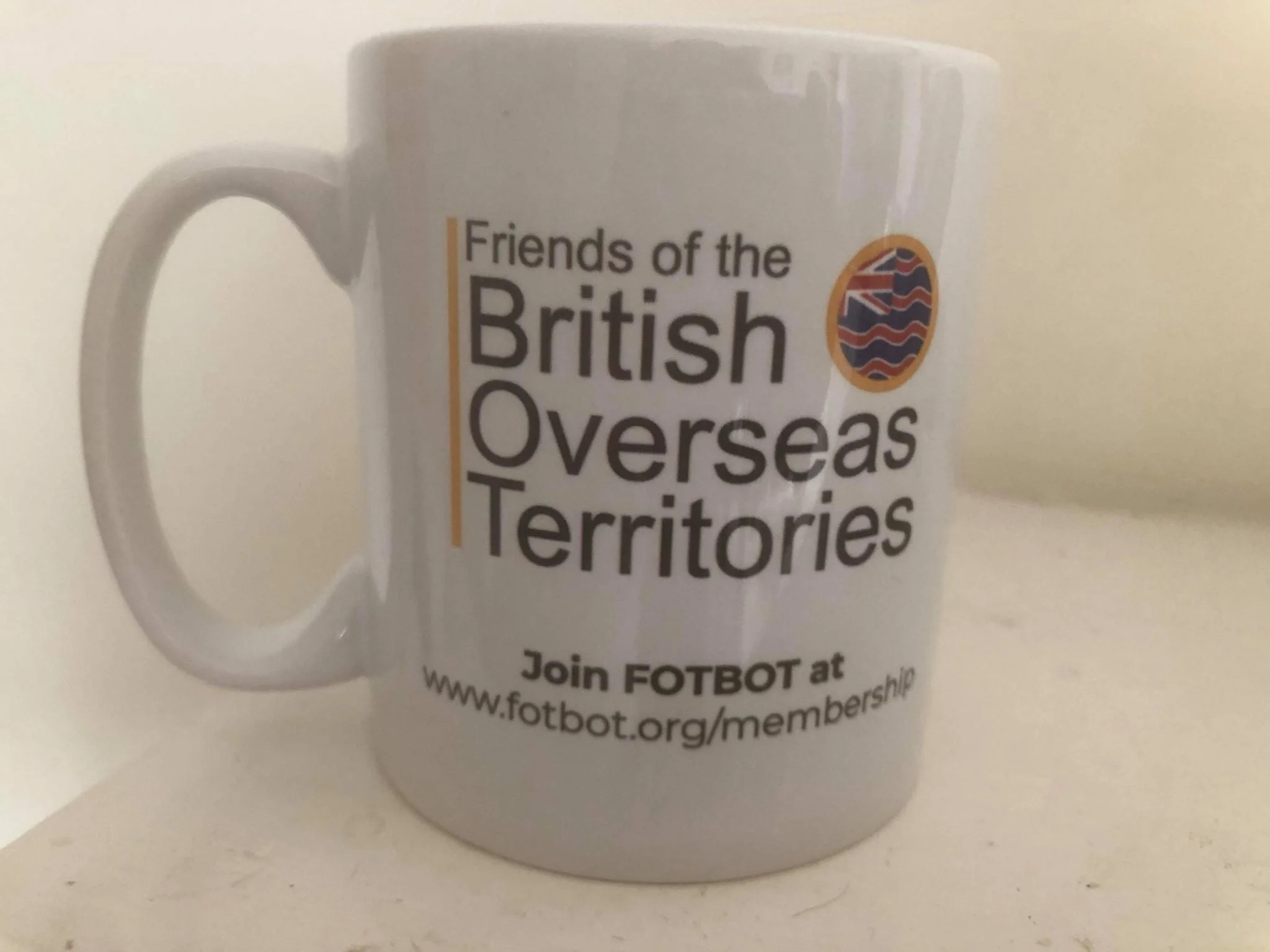 FOTBOT Mug