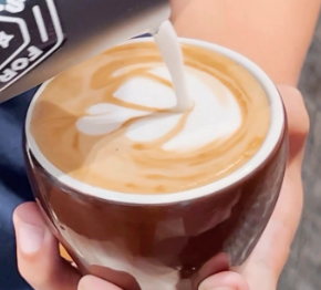 Basic Barista Program