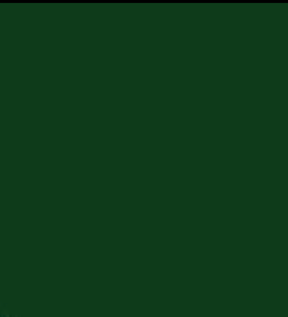 The Essential Set (Emerald