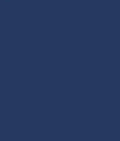 The Elite Top (Navy)