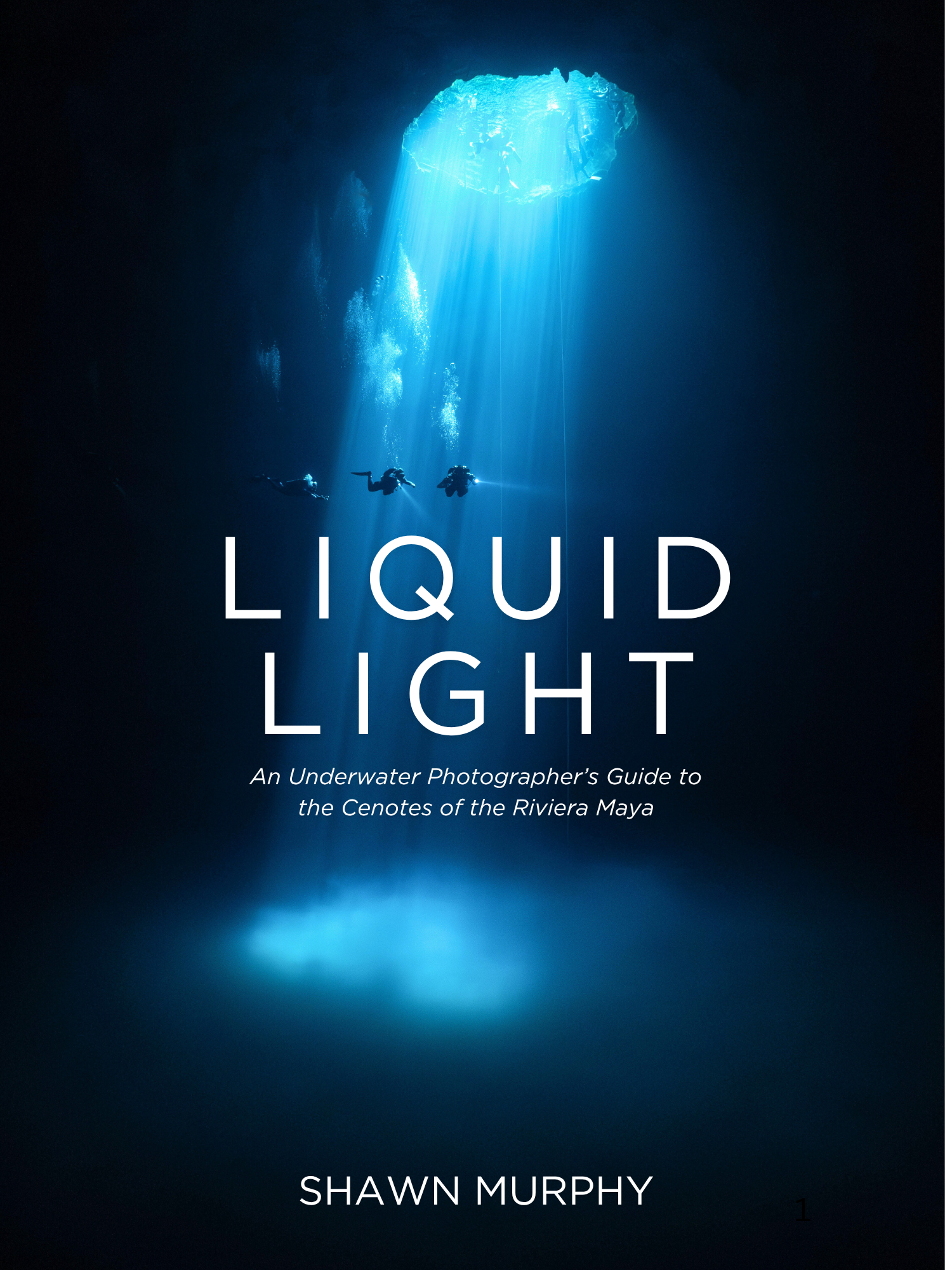 Liquid Light eBook