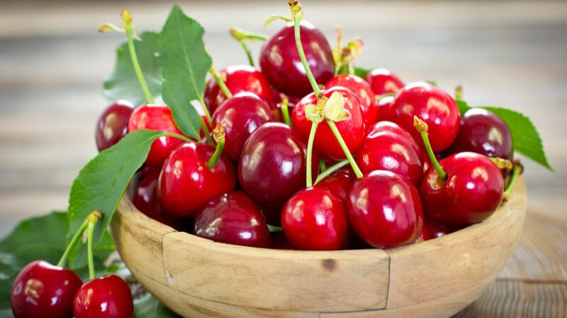 Cherry hữu cơ