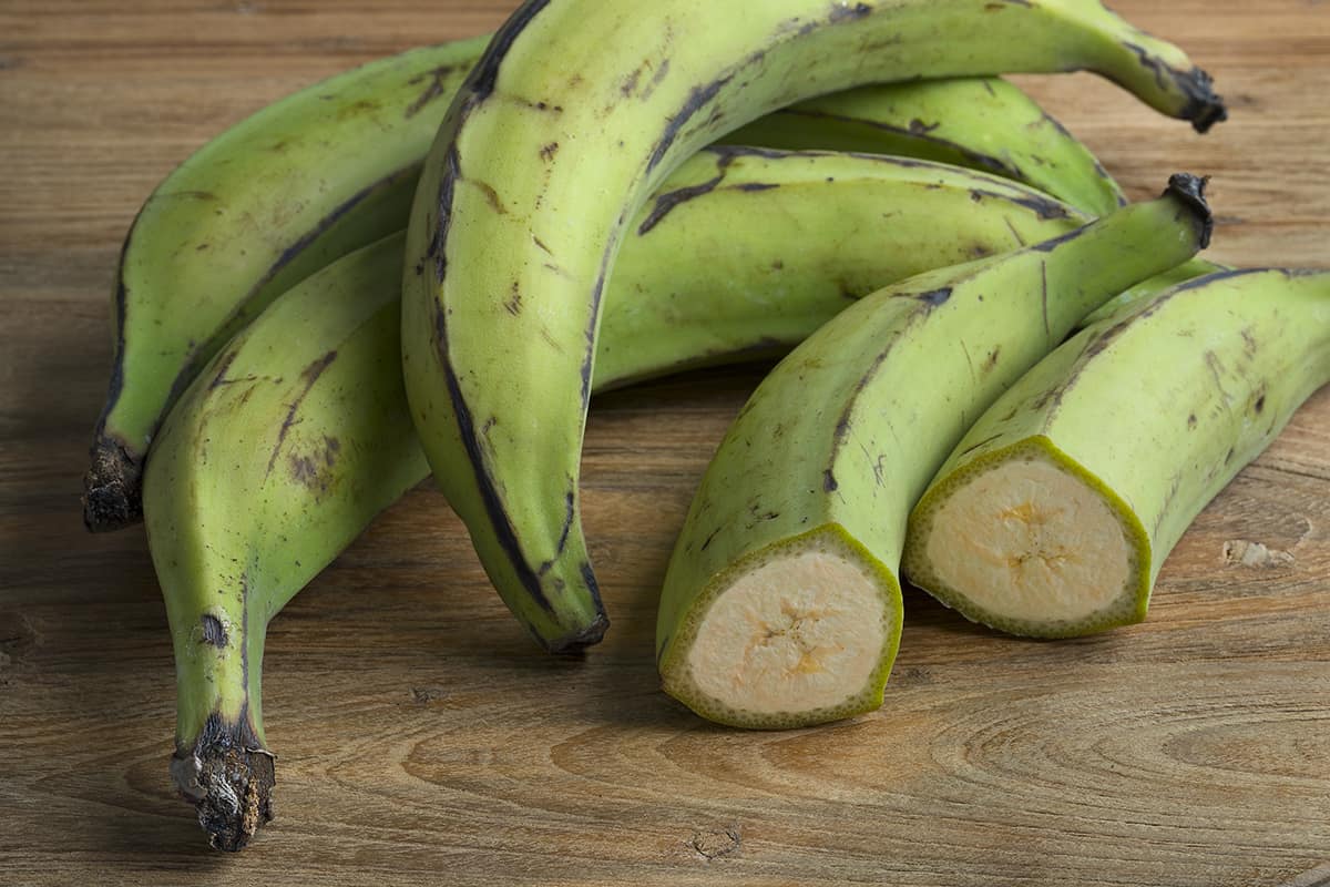 Plantain