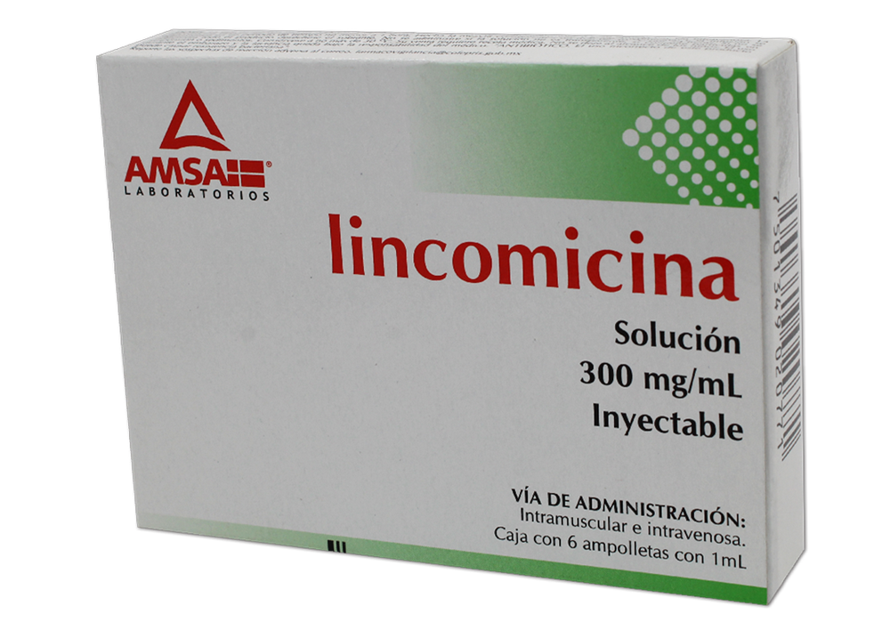 LINCOMICINA 6 AMP 300MG/1 ML