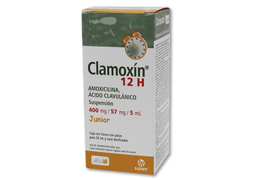 CLAMOXIN 12H JR 1 SUSP 400/57MG/5/50 ML ACIDO CLAVULANICO;AMOXICILINA