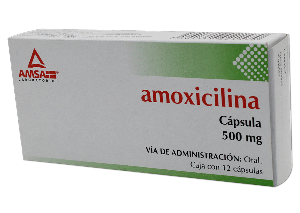 AMOXICILINA 12 CAPS 500 MG AMOXICILINA