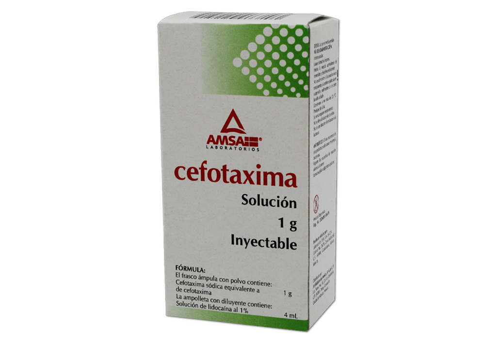 CEFOTAXIMA I.M. 1 FA 1G/4 ML CEFOTAXIMA