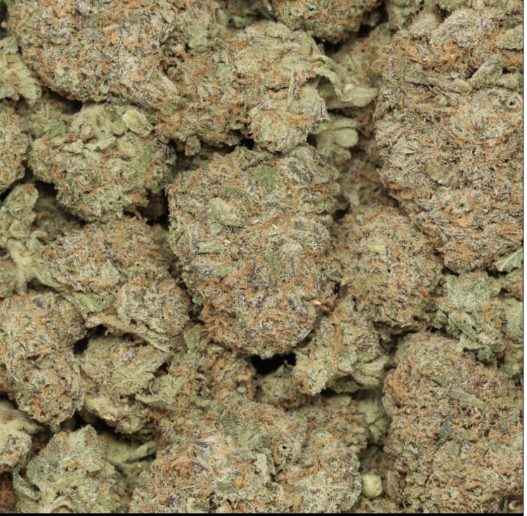 *Budget Deal-$140/28grams* 94 Monkey AAAA Indica