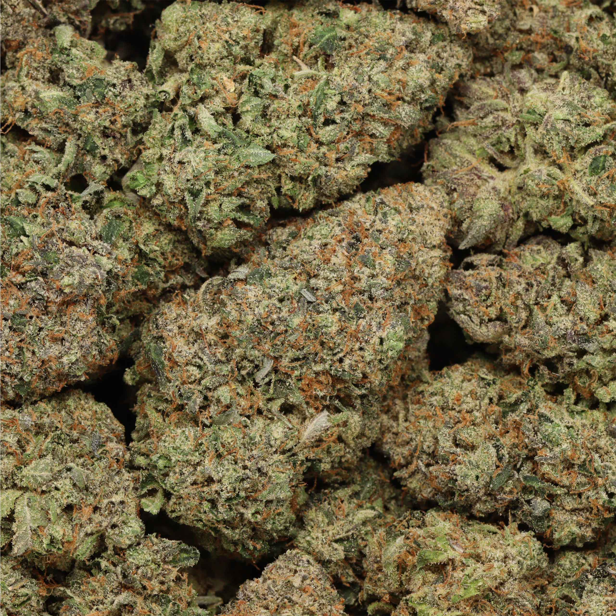 Lindsay OG Indica Craft AAAA+