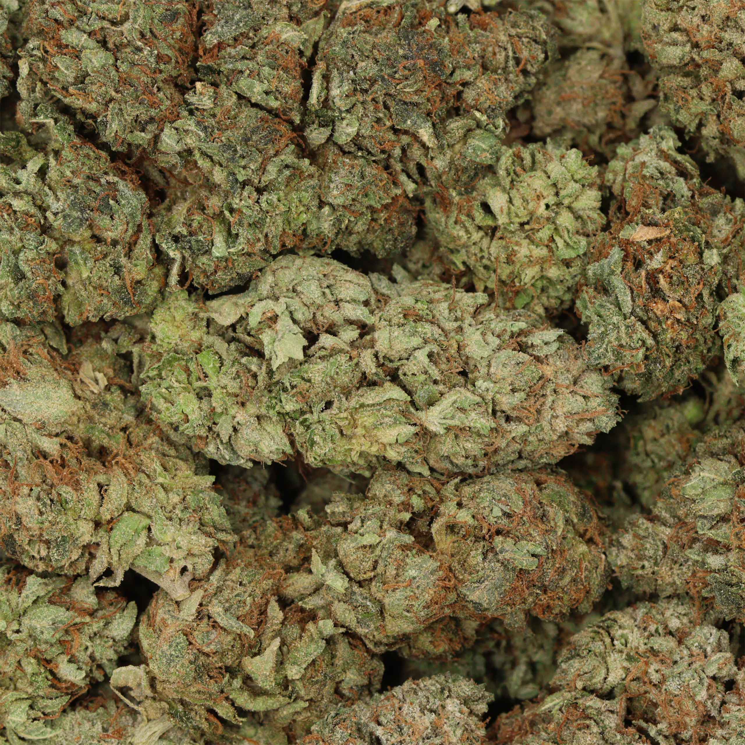 *SPECIAL SALE-$35/7grams* OG Kush Indica