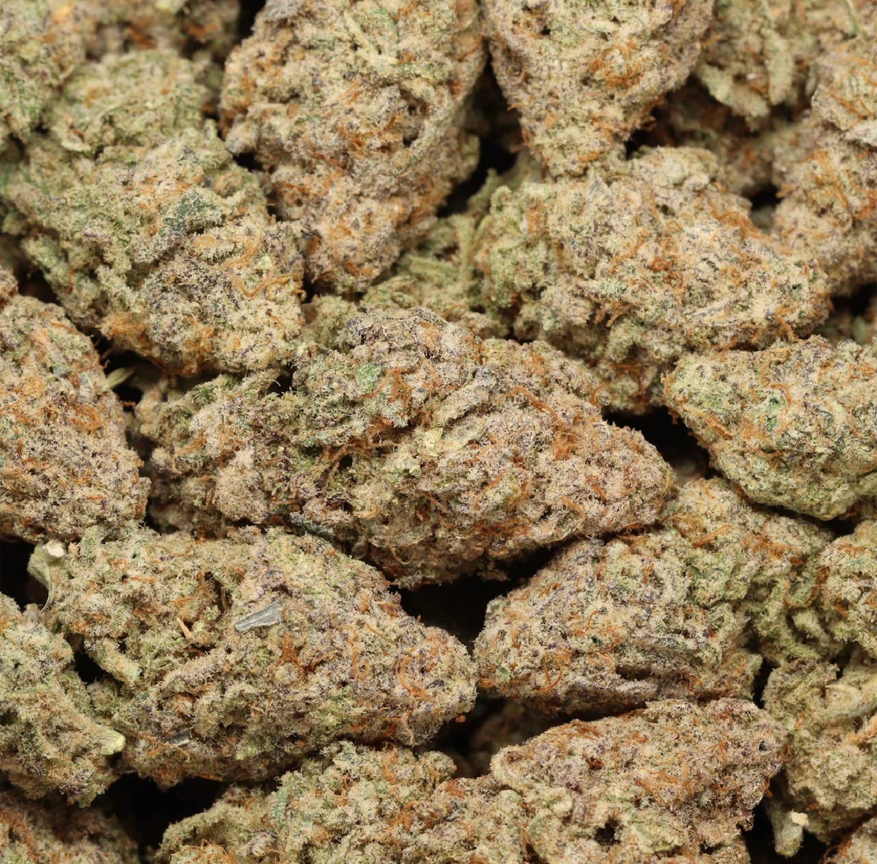 🤤Miracle Alien Cookies AAAA Hybrid🤤(MAC1)🤤Highly Recommend 