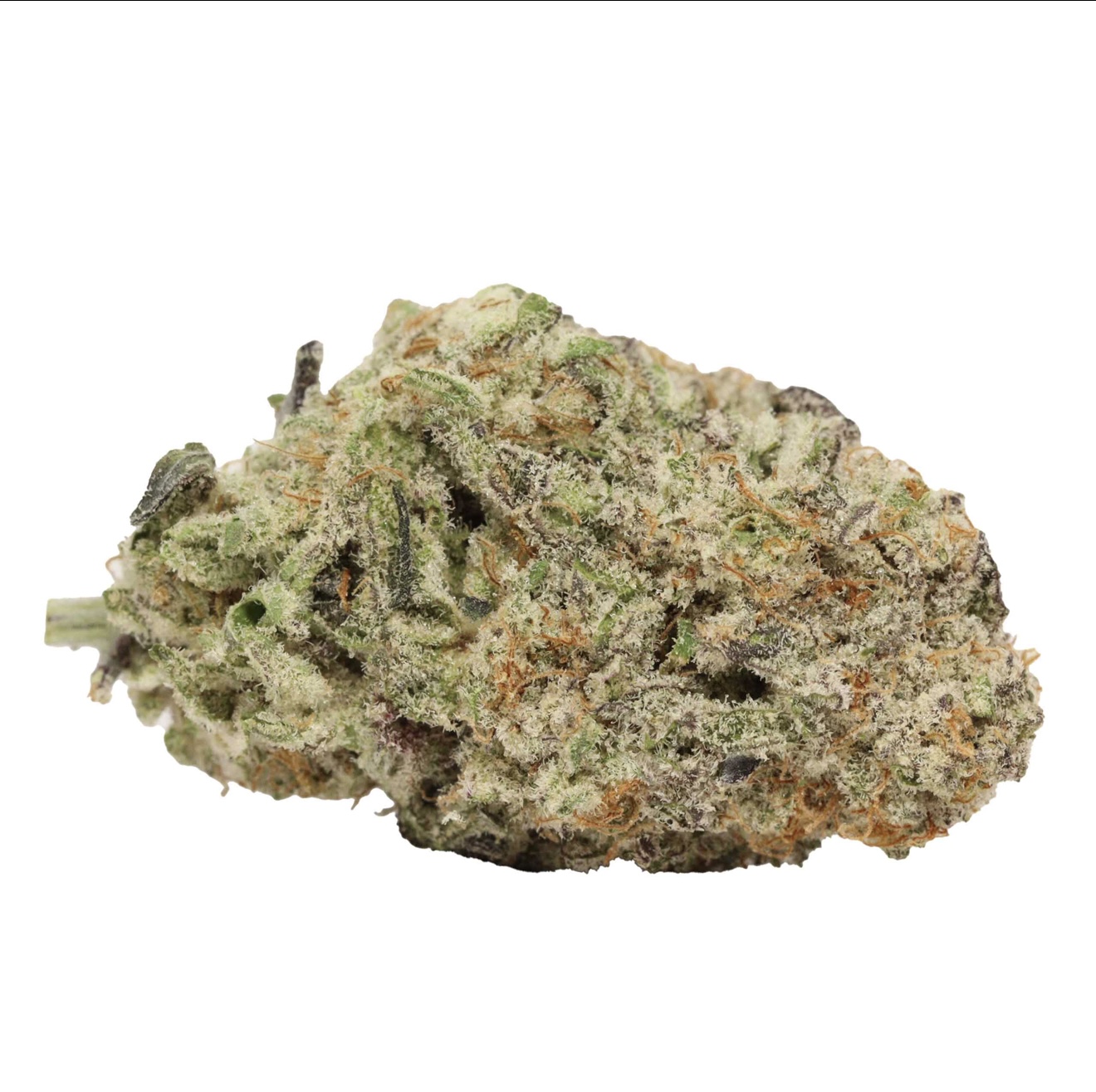 MACnanna AAAA+ Hybrid-Highly Recommend