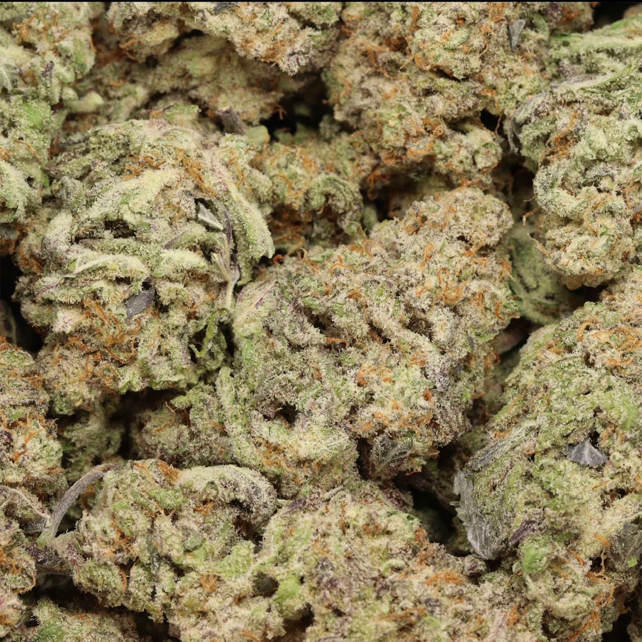 MACnanna AAAA+ Hybrid-Highly Recommend 